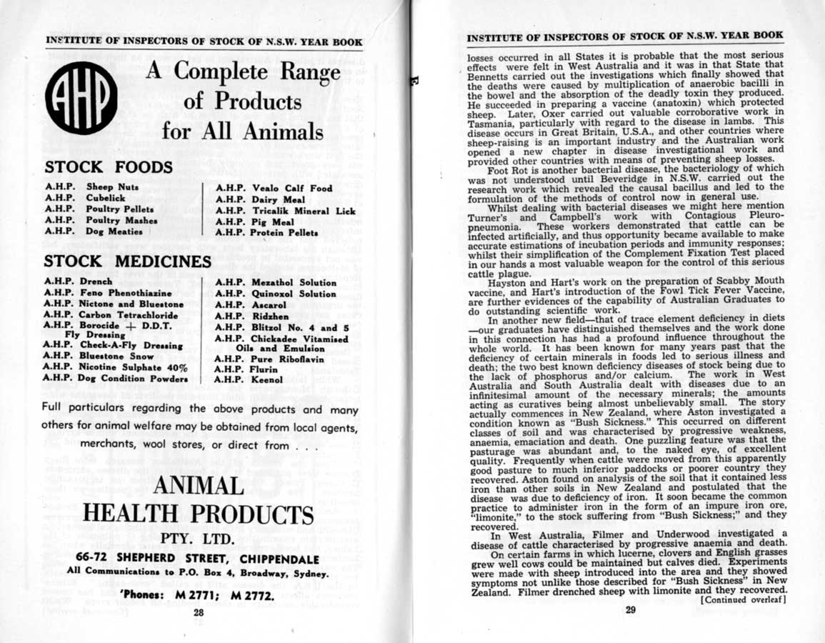 1951 Page 028 029
